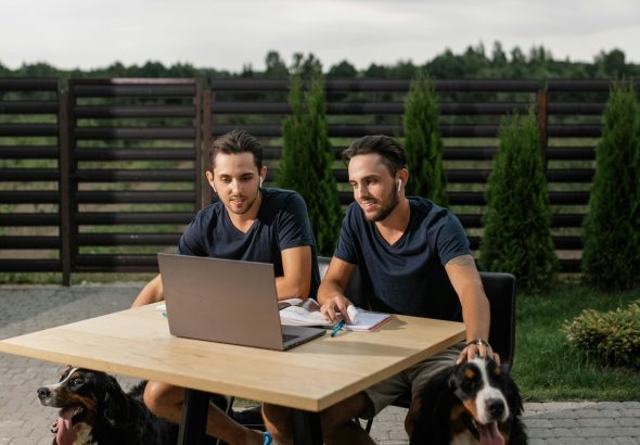 Fence Screening Panels